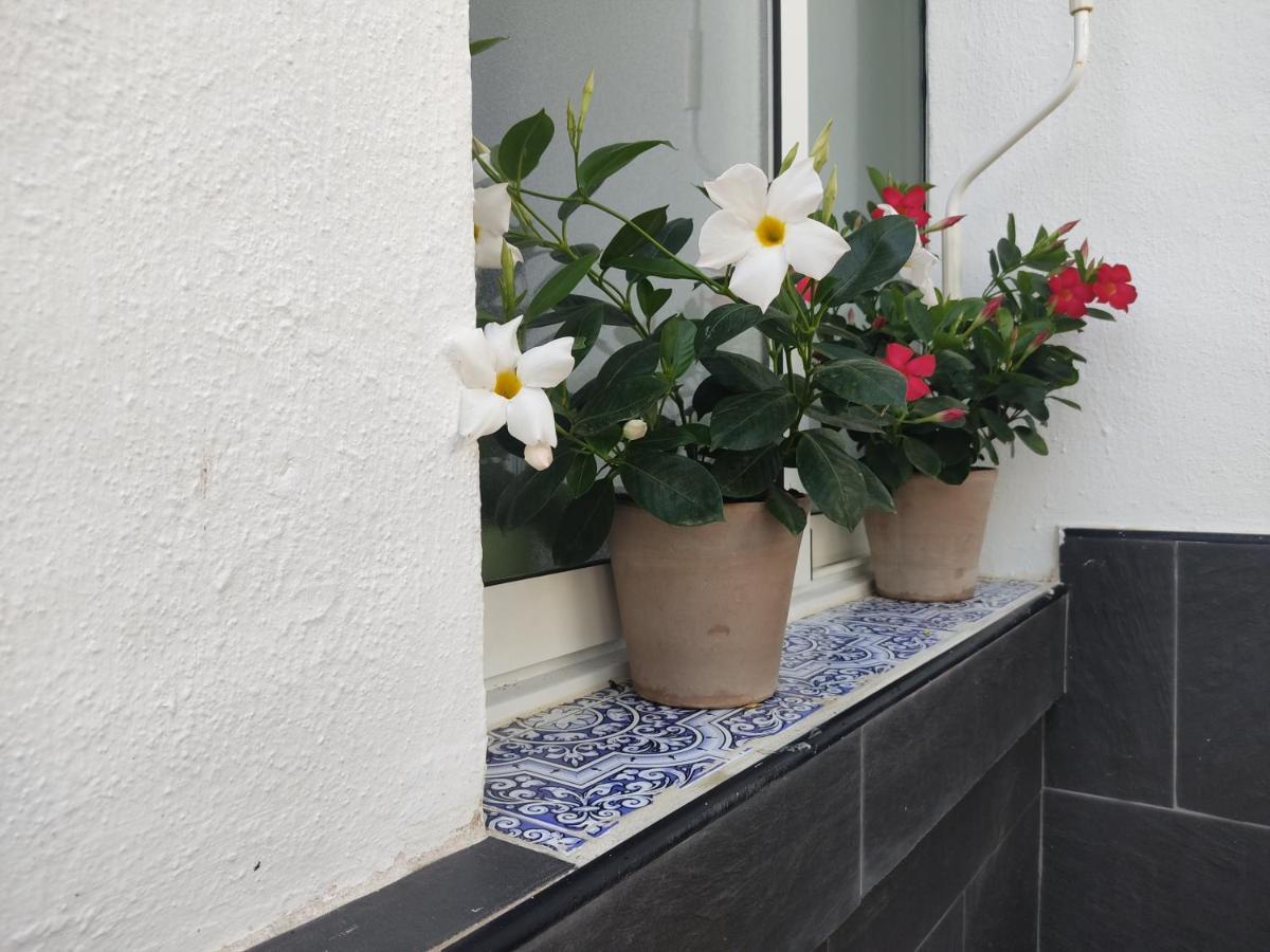 Apartamento 700 Metros De La Playa Playa Flamenca Eksteriør bilde